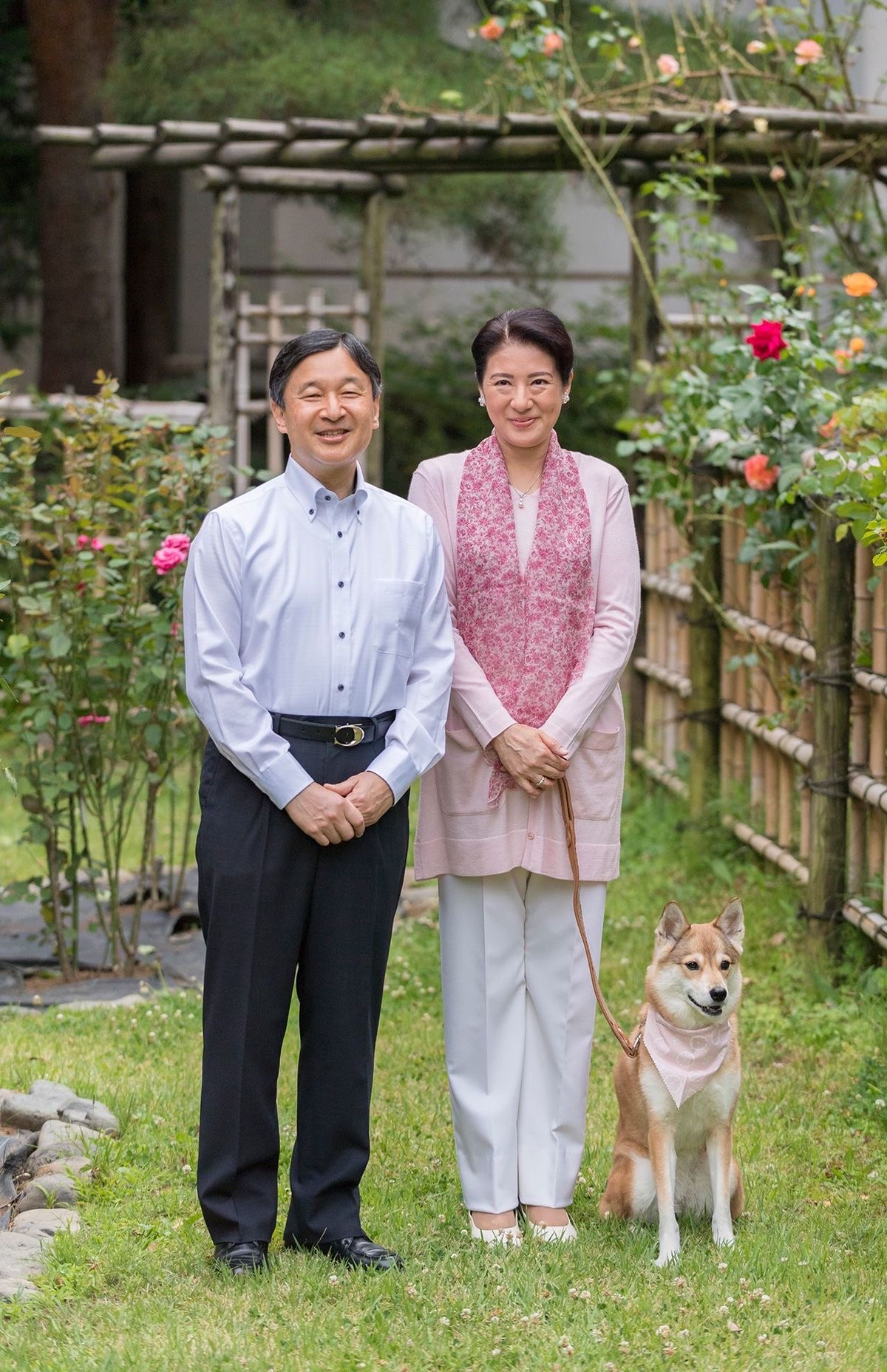 伴随着爱子一起长大的爱犬由莉,是日本德仁天皇家的第四个成员