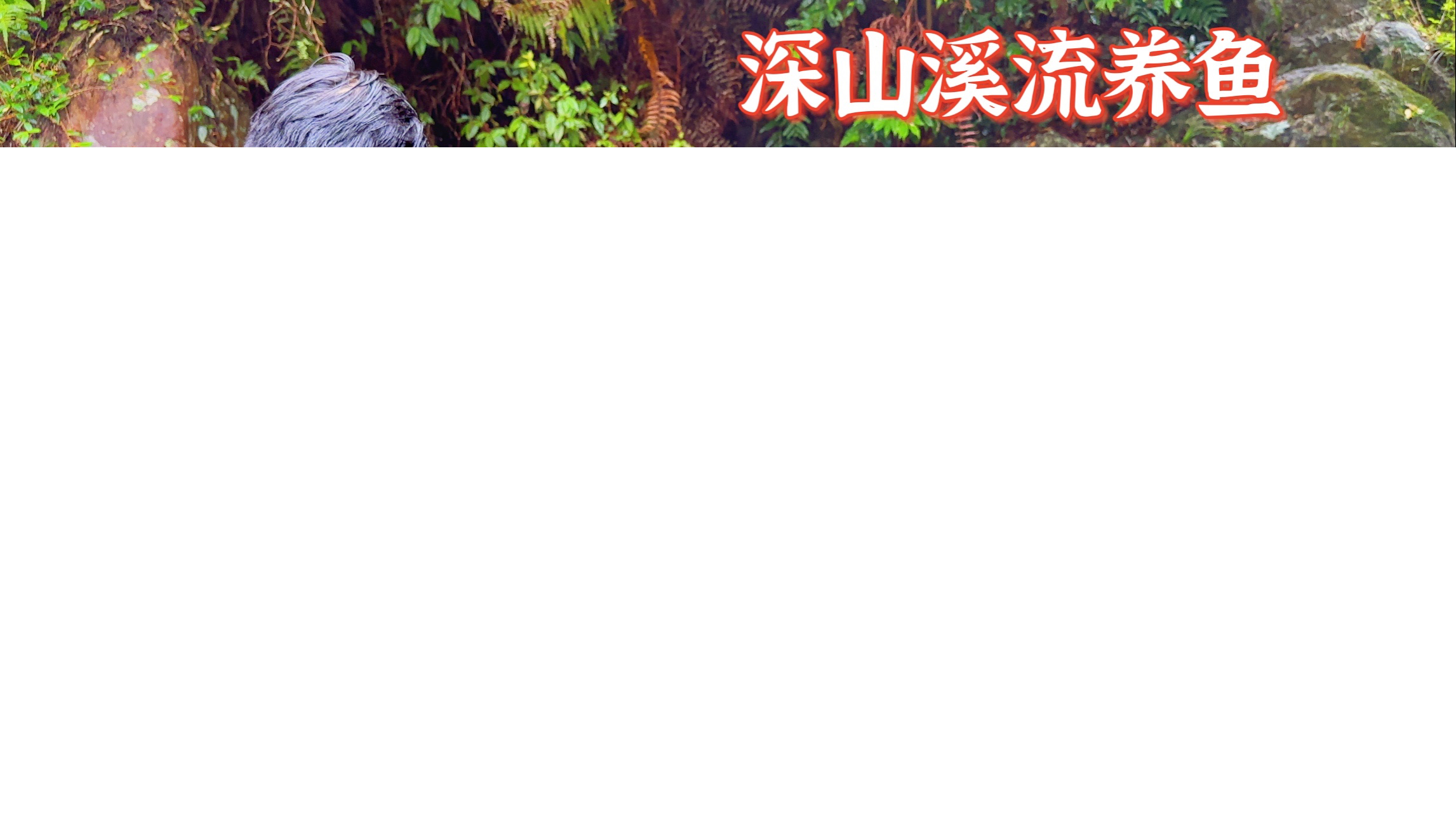 回村深山溪流养鱼第五天,感觉要养殖成功。能养出高质量鱼吗