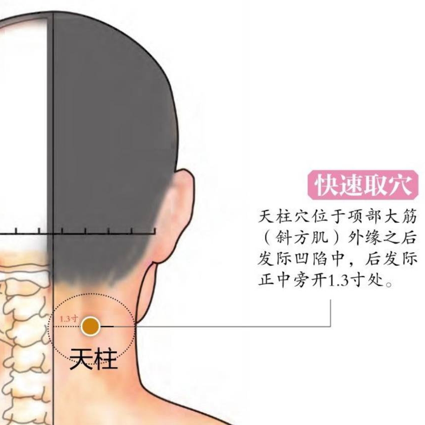 落枕按摩哪个穴位你知道吗?