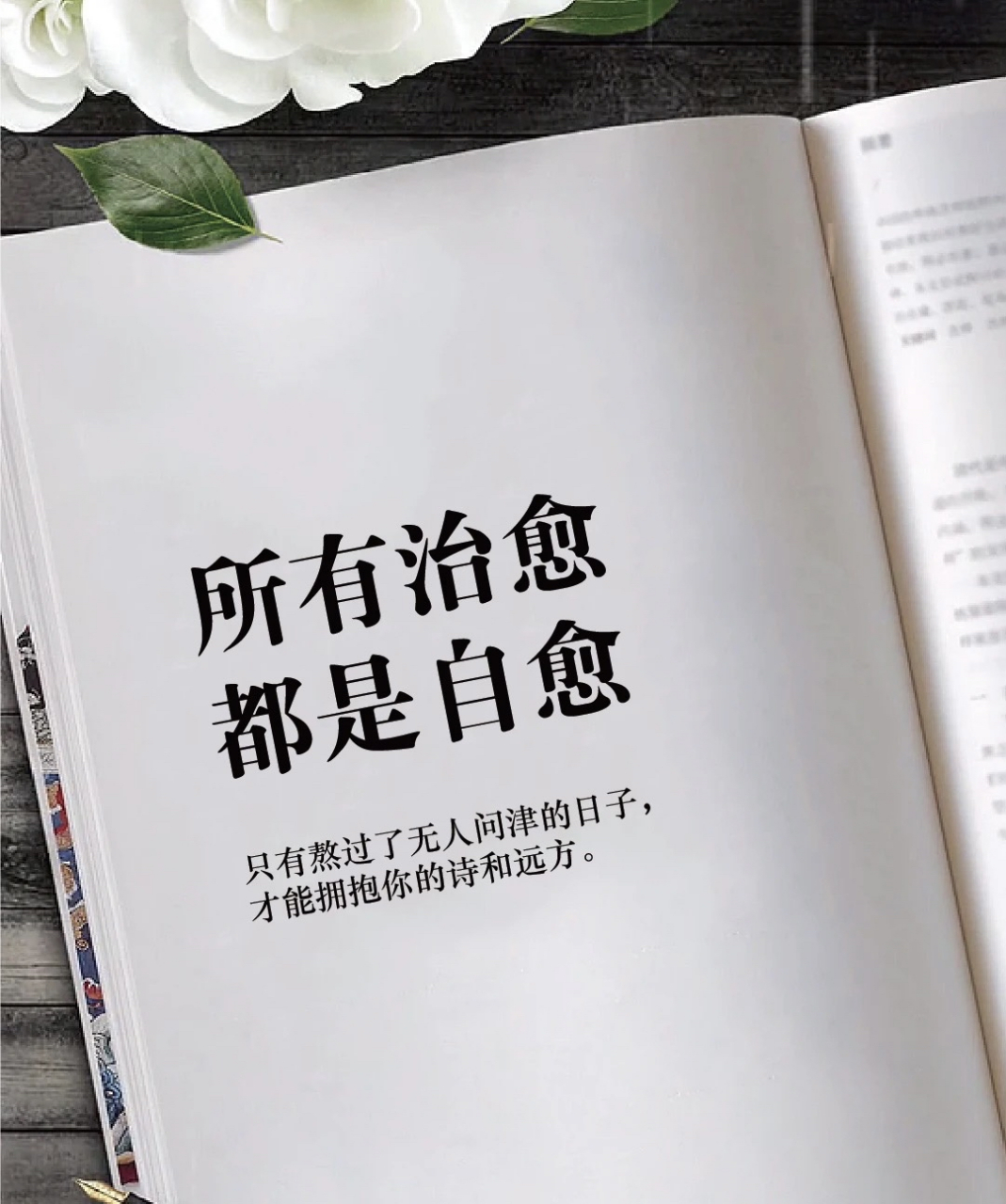 所有治愈 都是自愈