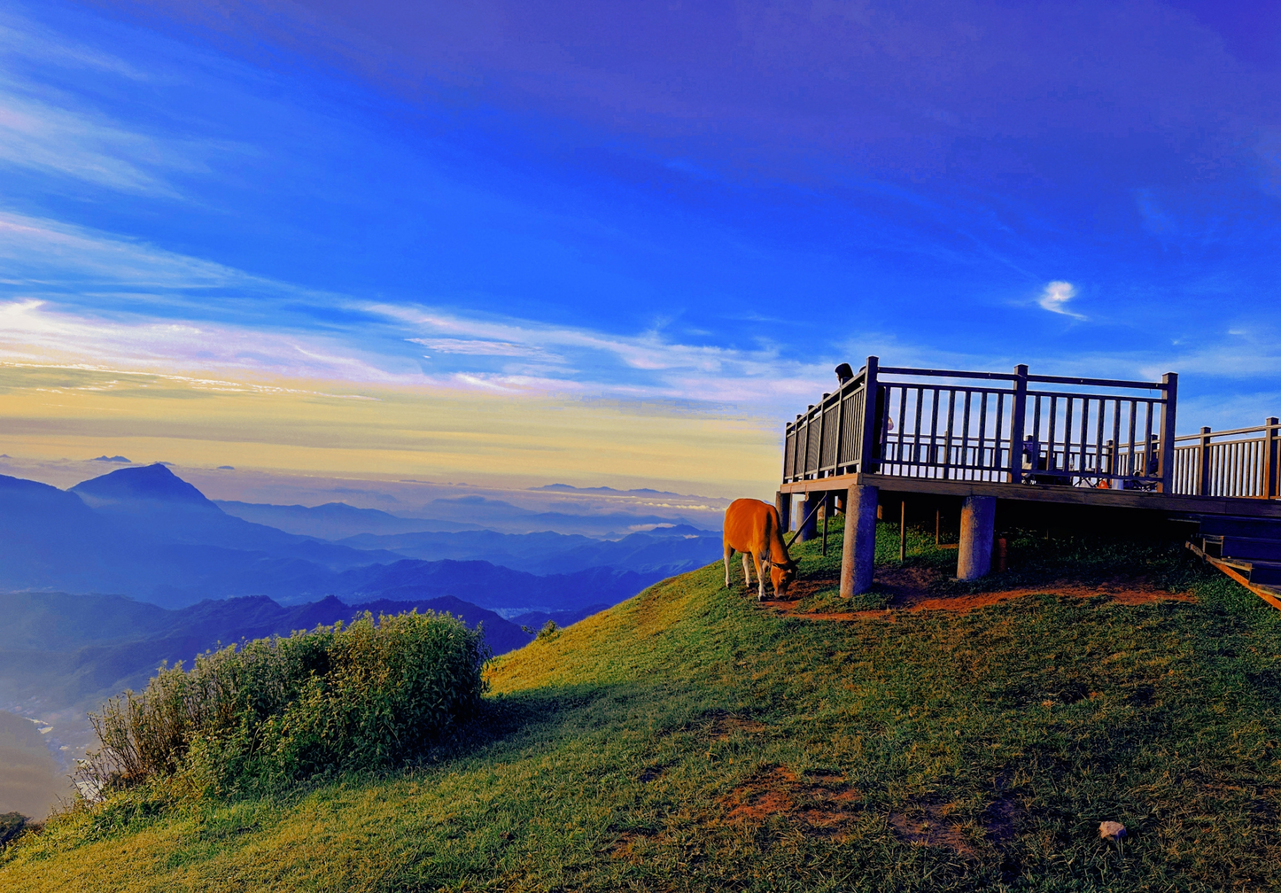 岑溪天龙顶的山景一绝93,仿佛置身仙境云端,总有人间一两风,填我