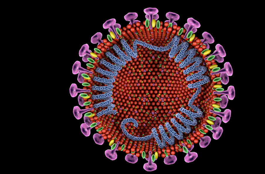 原来这里也有数学,病毒的形状,dna 的结构都与数学有关