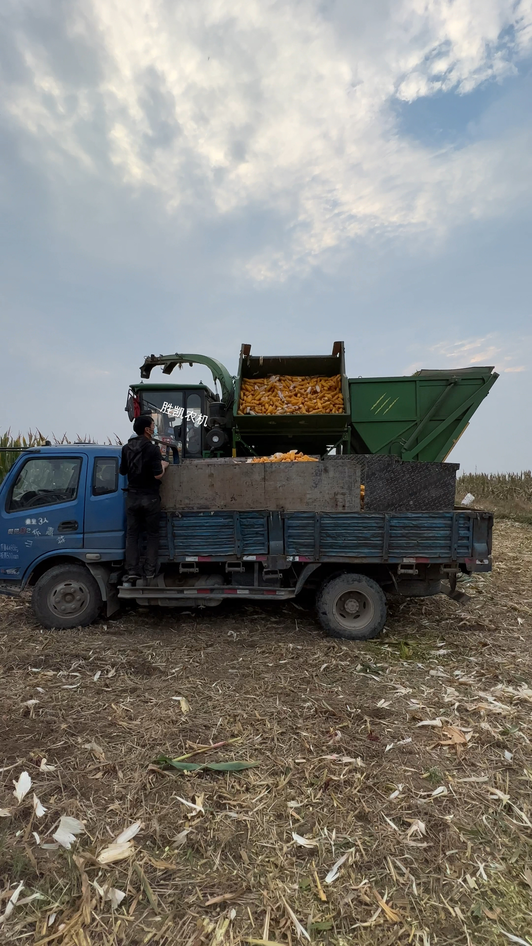 迪马玉米茎穗兼收收割机