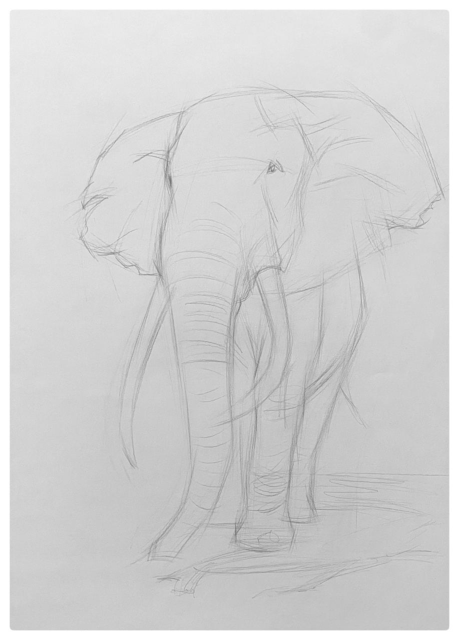 美术生# #素描# #画画