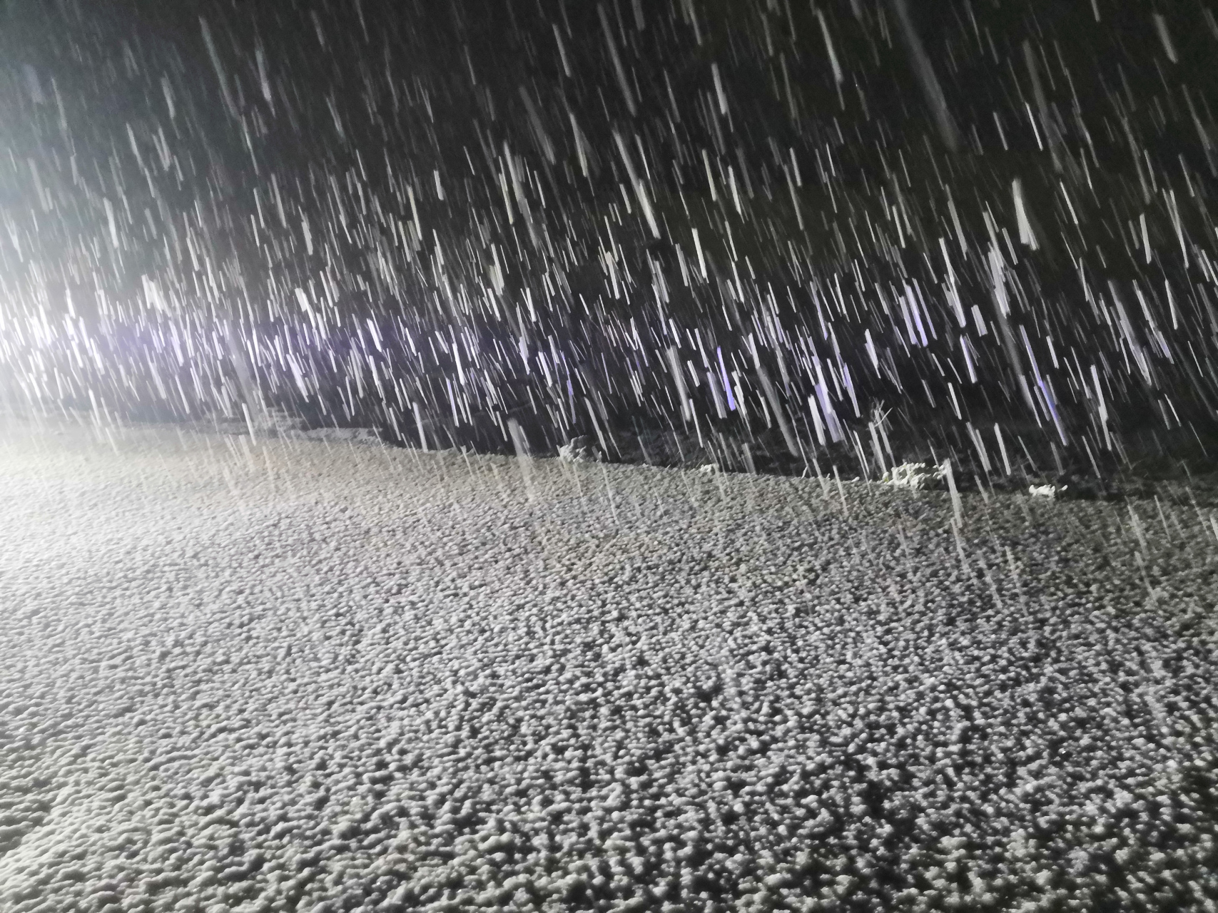 大雪纷纷何所似, 撒盐空中差可拟,…… 未若柳絮因风起 前两天艳阳高