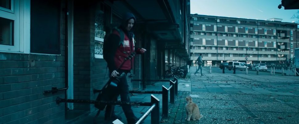 《再见街猫BOB》我这个人很简单，有猫能撸我就能活下去