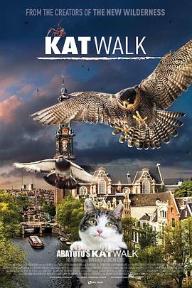 《 阿姆斯特丹猫未眠》传奇世界回旋通道二怎么走