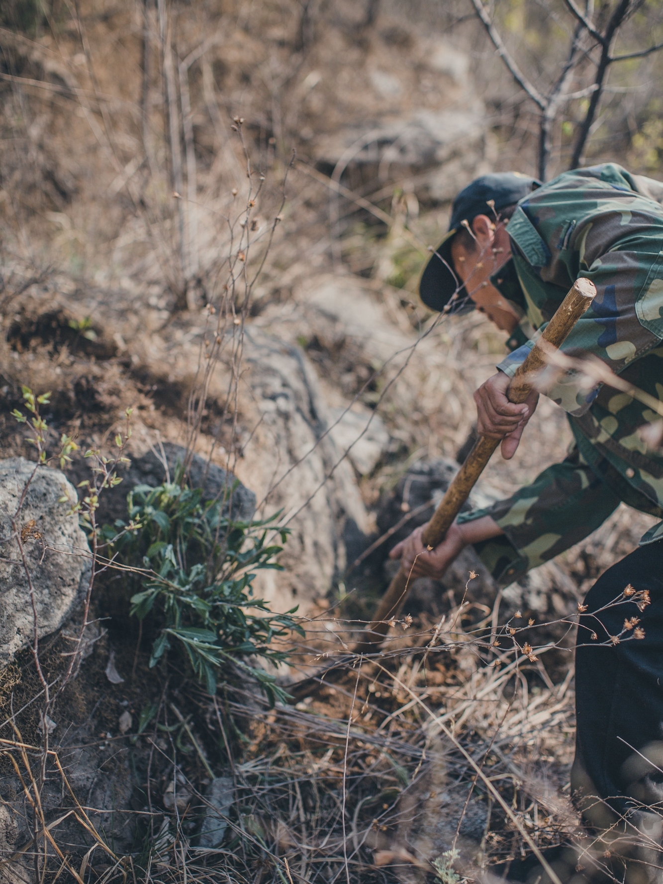 京郊亲子游|守山人·北京护林员的巡山计划