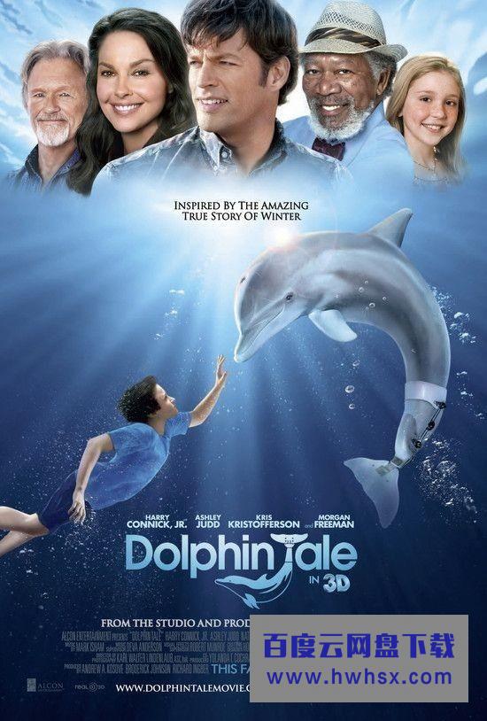 《海豚的故事/一只海豚的传说》4k|1080p高清百度网盘