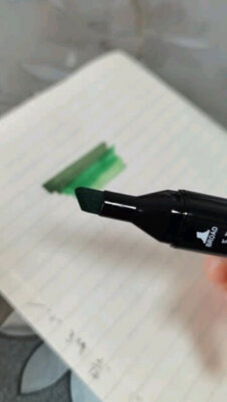 touch fish 马克笔套装学生动漫油性水彩笔双头绘画画笔儿童女生男孩