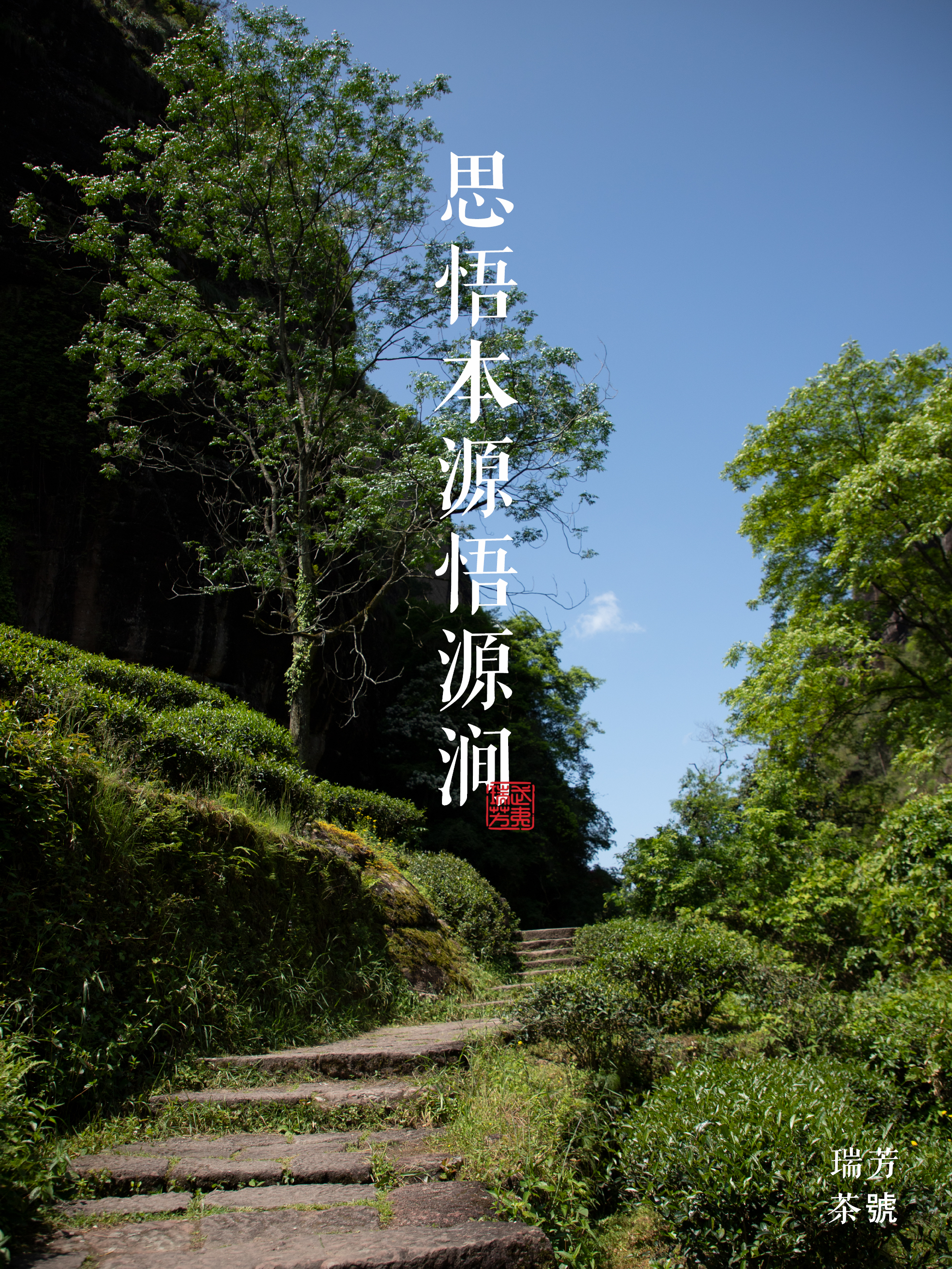 三坑两涧之悟源涧