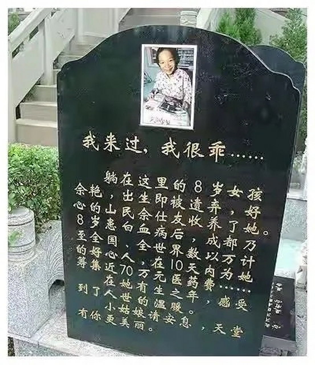 我很乖我来过图片