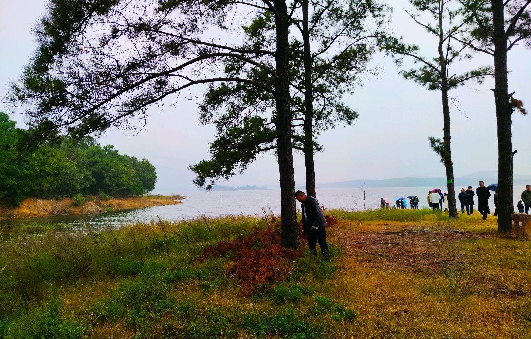 泌陽縣銅山湖溼地公園掠影