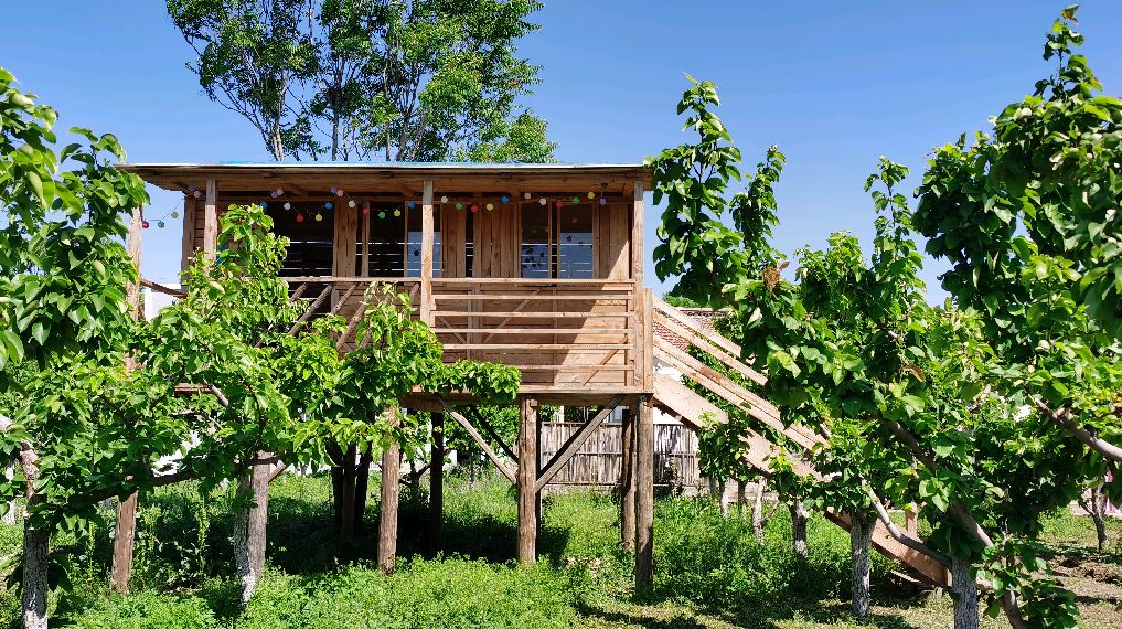 你想拥有这么一家有机农场吗