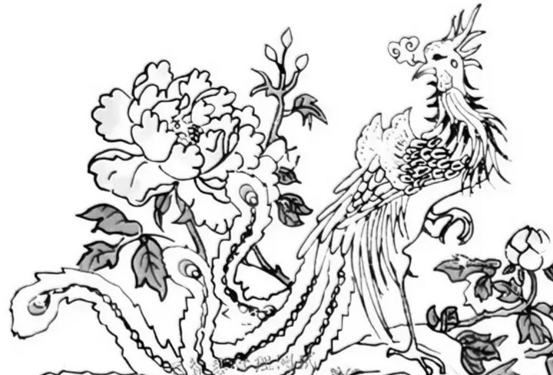 考眼力:你能看到图孔雀牡丹隐藏有几张人脸. 眼力好的人很快就找齐.