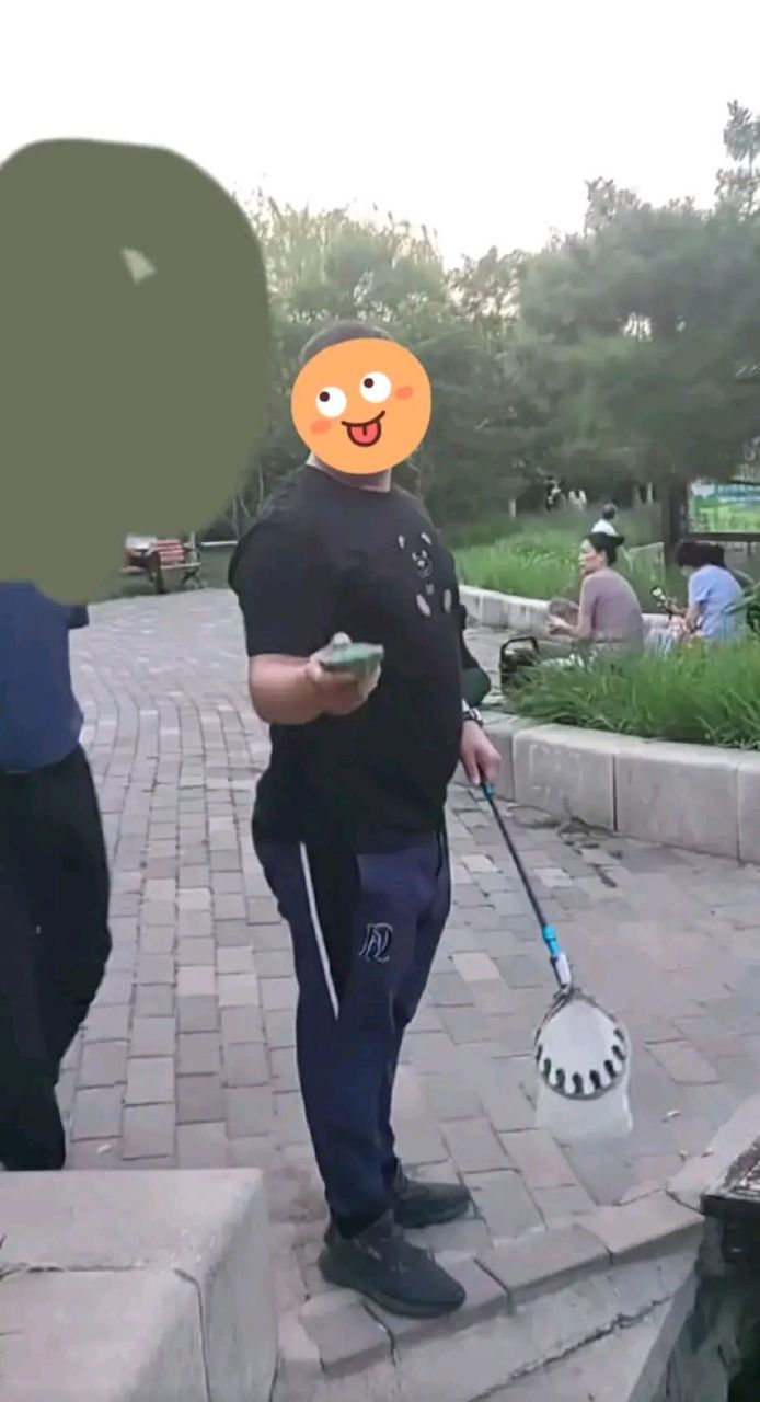 最近,在天津南翠屏公园的小湖里,荷叶莲莲甚是好看,莲蓬也立起了