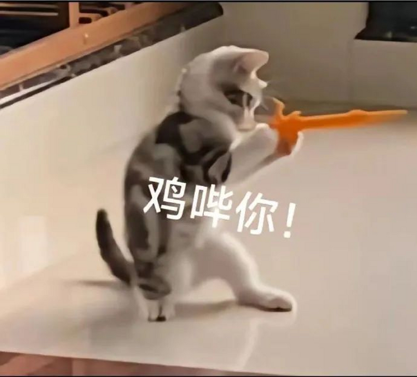 不许动,举起手来,小心我鸡哔你哦[偷笑][偷笑][偷笑]#逗你玩呢