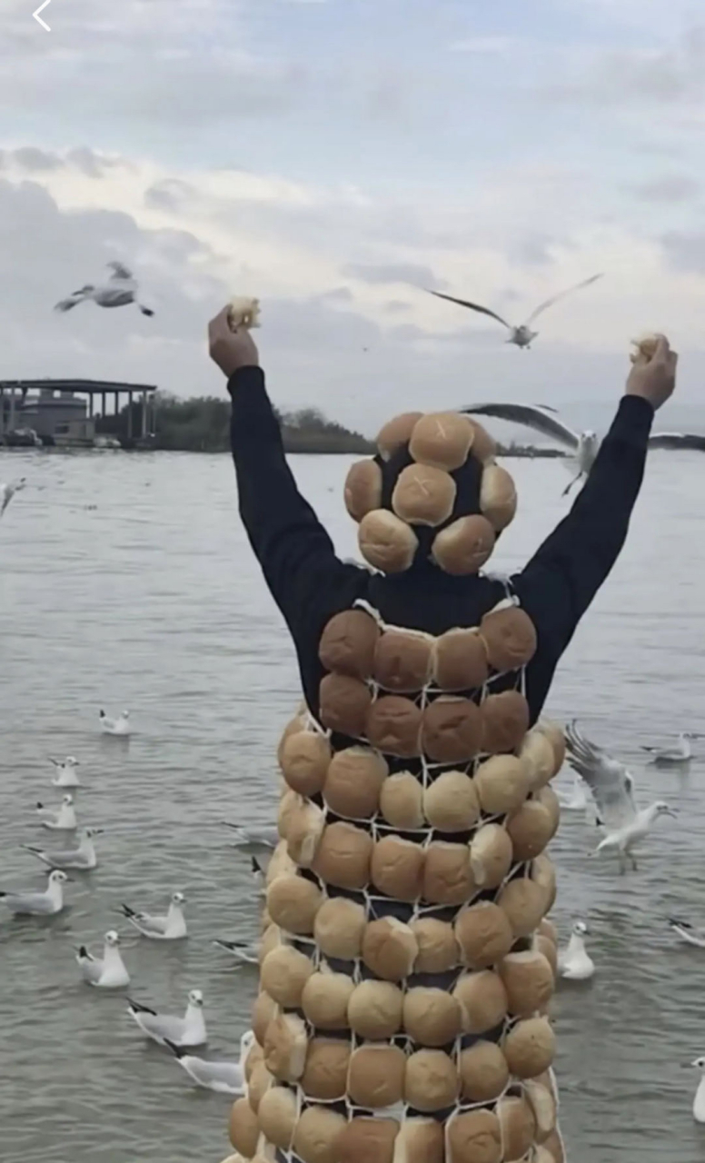 海鸥,为我停留吧#搞笑# #沙雕