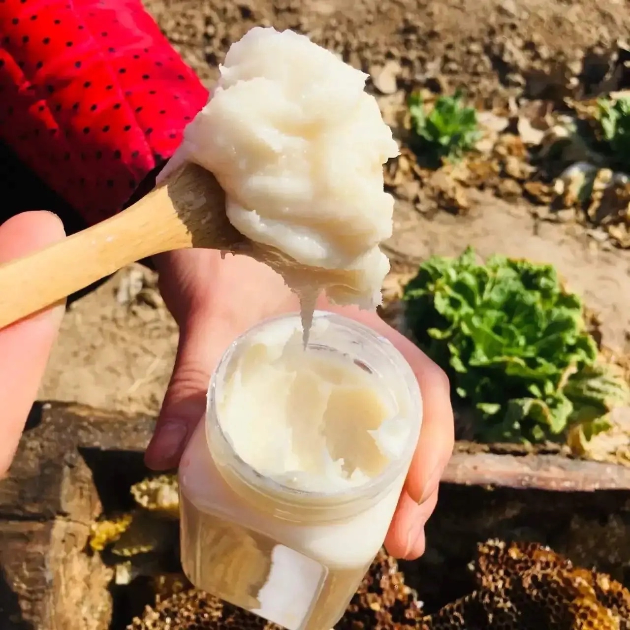 蜂蜜过期了还没有拆(过期蜂蜜未拆封能喝吗)