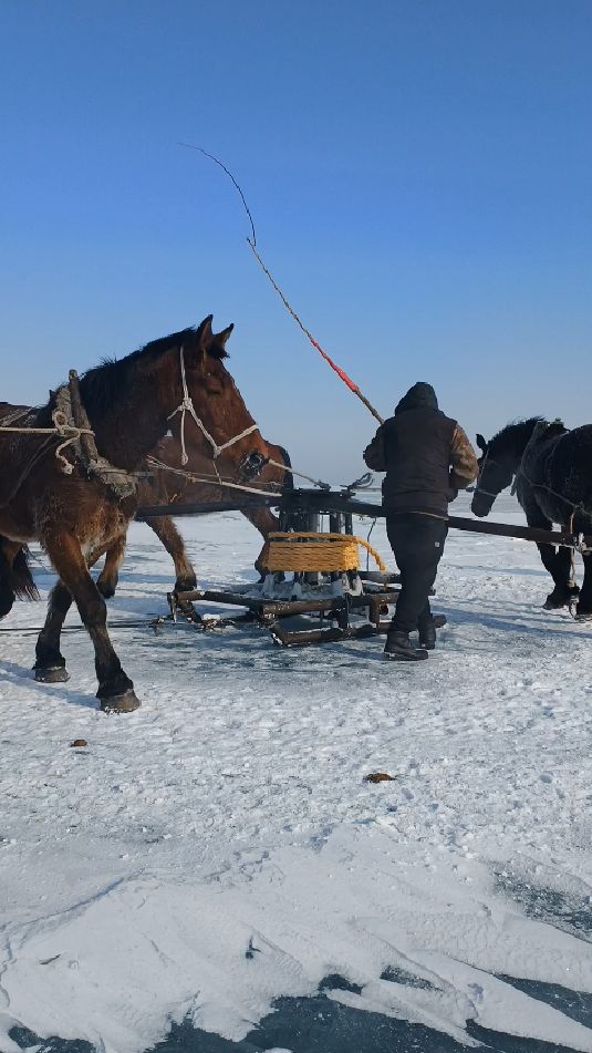 查干湖冬捕,马拉绞盘