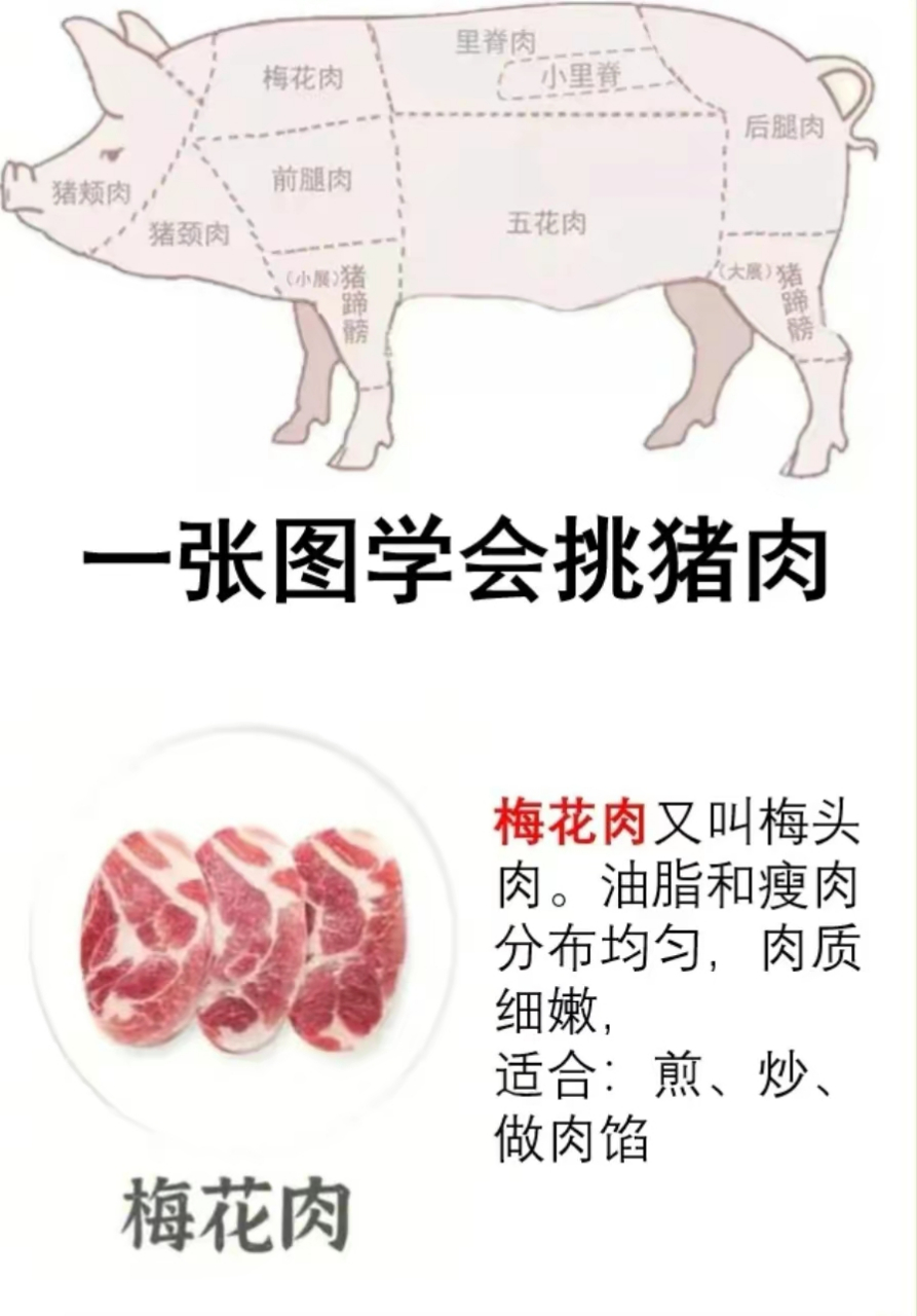 腰梅肉在猪的哪里图片