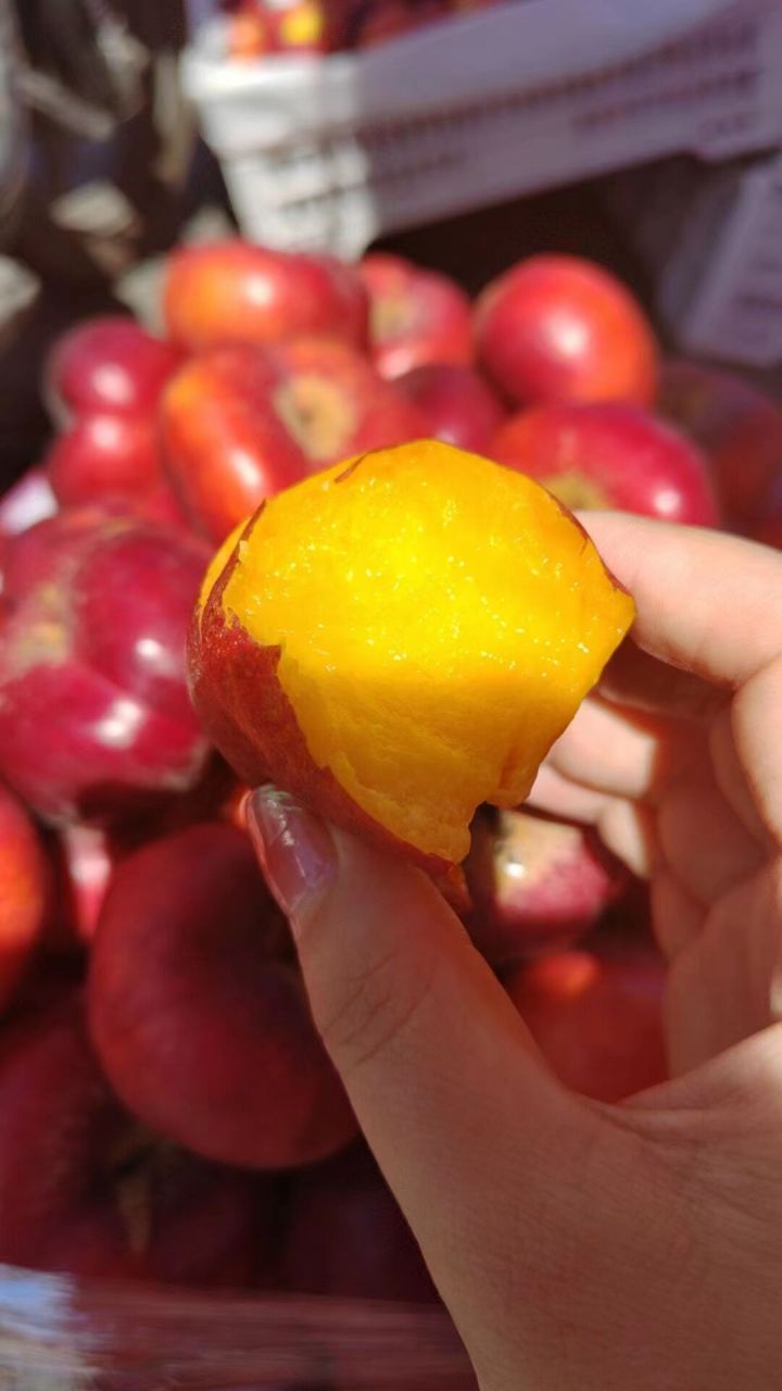 新疆的蟠桃真是好吃得不行!
