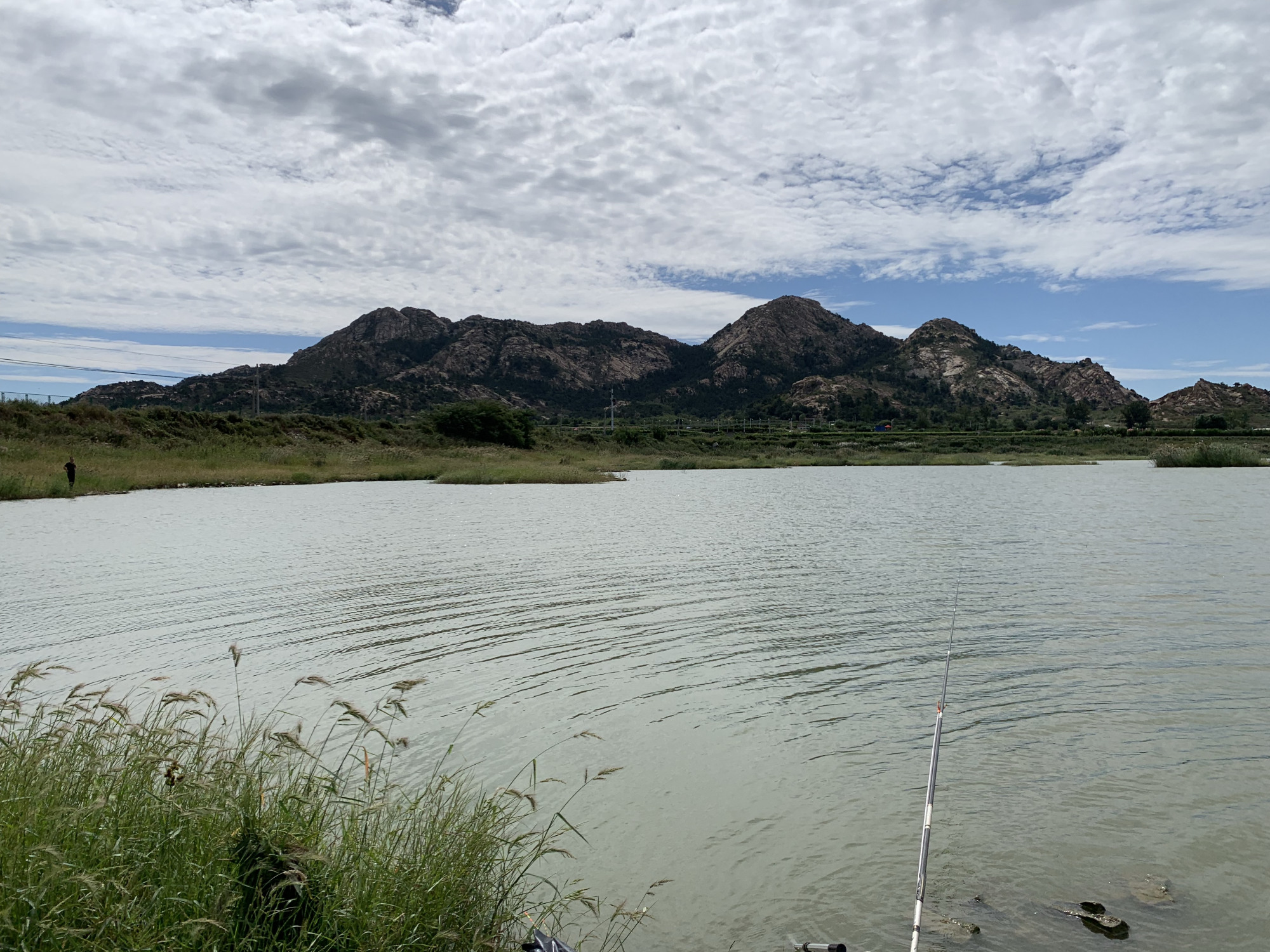 风景如画的平度市大泽山镇淄阳河水库,天蓝水碧,好惬意心向往之