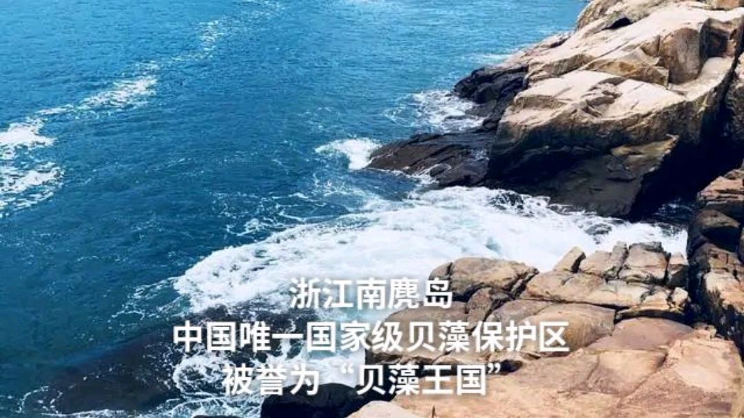 浙江南麂岛:中国唯一国家级贝藻保护区,被誉为“贝藻王国”