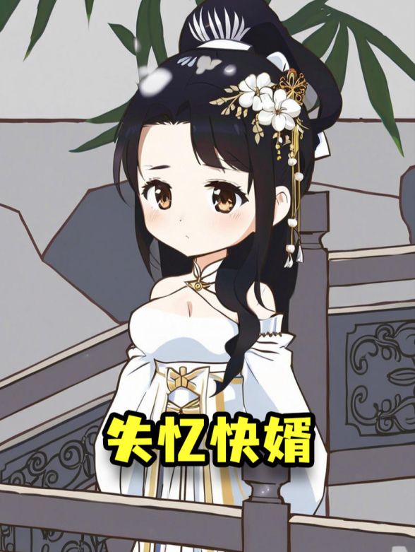 失忆快婿封面图