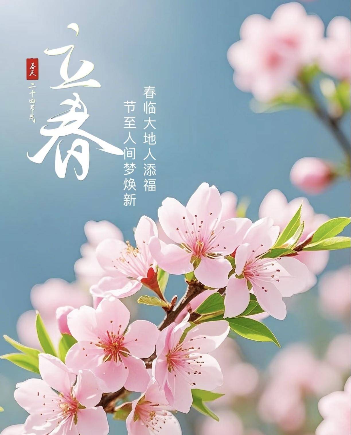 立春后尽量少吃大鱼大肉多吃这3道菜鲜香美味护阳气家人也喜欢