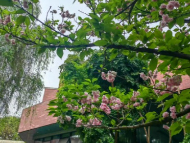 高三那所学校复读好