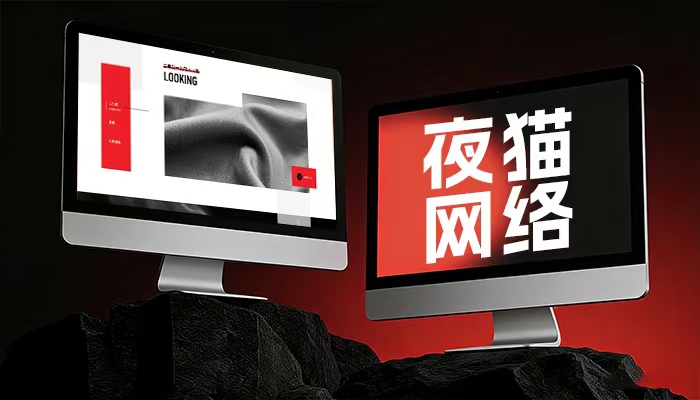 夜猫网络案例图