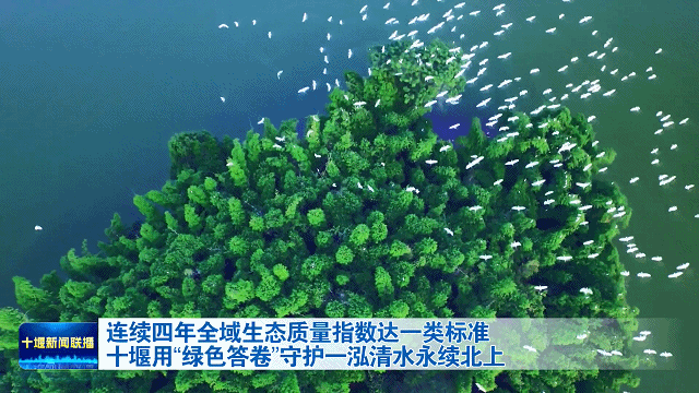 连续四年全域生态质量指数达一类标准 十堰用“绿色答..