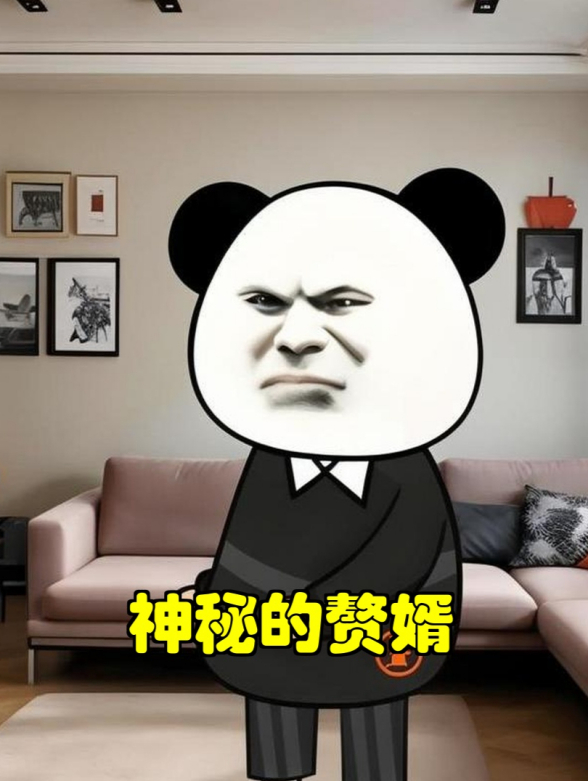 神秘的赘婿