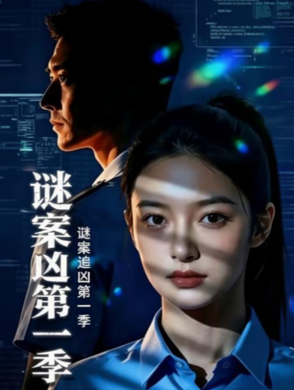 谜案追凶第一季