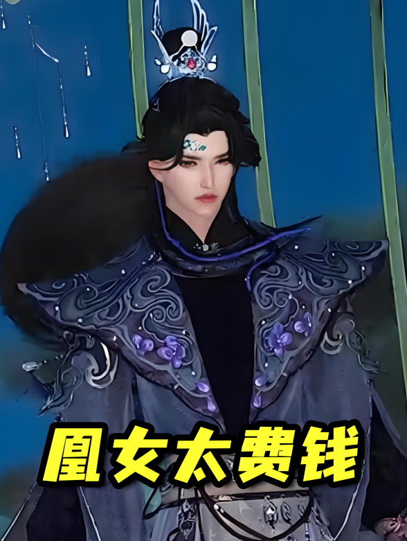 凰女太费钱封面图