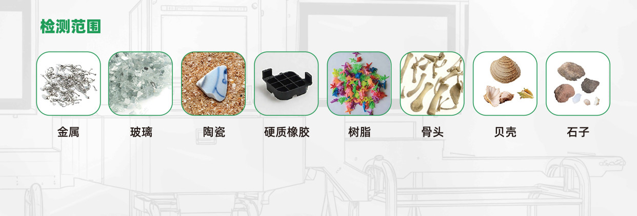X射线异物检测机选购必看:猪肉断针、鱼刺、碎骨三大痛点逐一实测