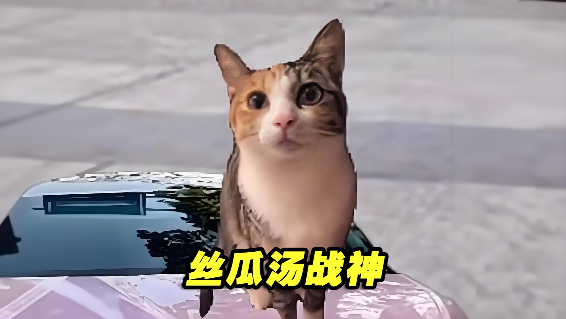 丝瓜汤战神第1集