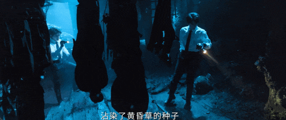 南部档案(2026)【每日更新至完结】百度云资源_百度网盘提取码