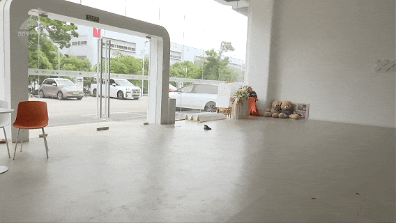 智己汽车4S店突然搬空？车主：提不了车，落不了户，太糟心-有驾