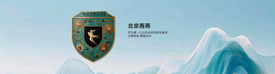 泰钽700焕新价24.98万元起上市，至高价值8.6万元七重大礼限时领！-有驾