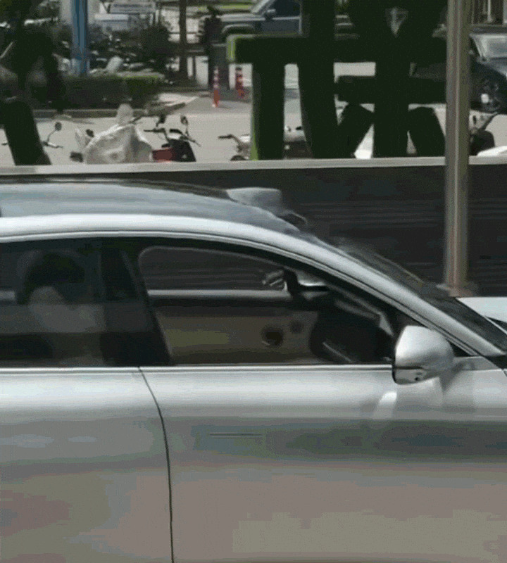 8月销量前十无燃油车；2027上海车展定档；阿维塔9系旗舰SUV来了；新款宝马X3开售；智己启动“无方向盘”车辆测试；疑似小米全新车型曝光-有驾
