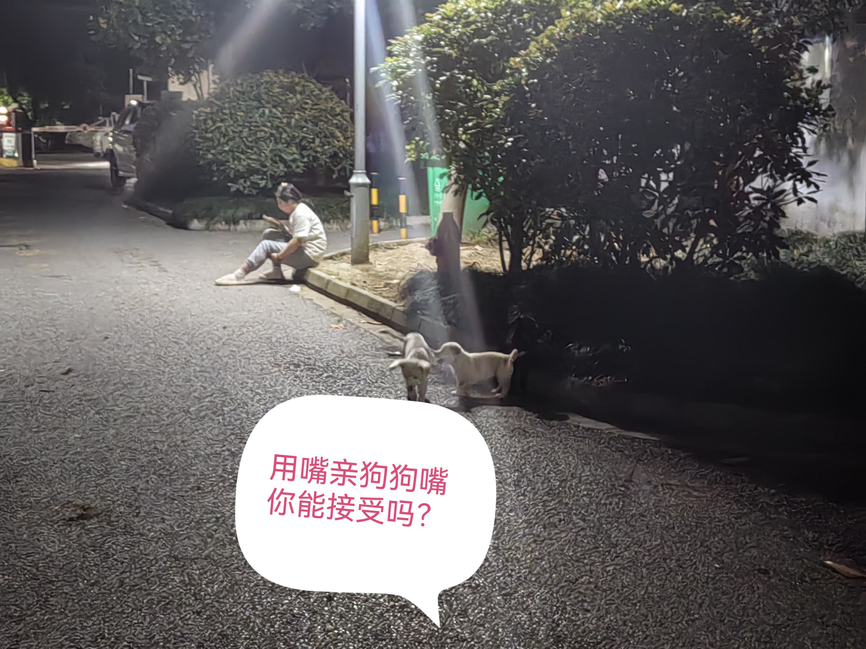 回宿舍的路上,看到一女子抱著小狗坐在路牙子上,她的一個行為讓我不太