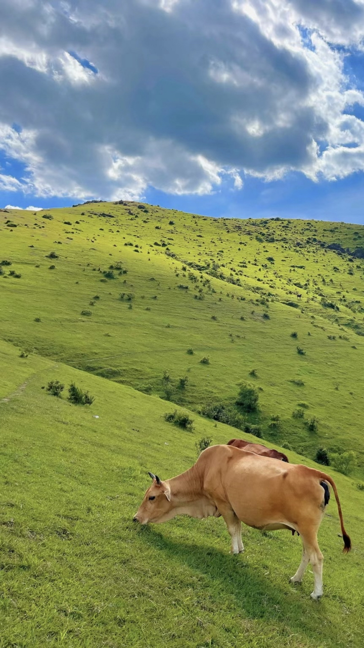 福清大姆山风景区图片