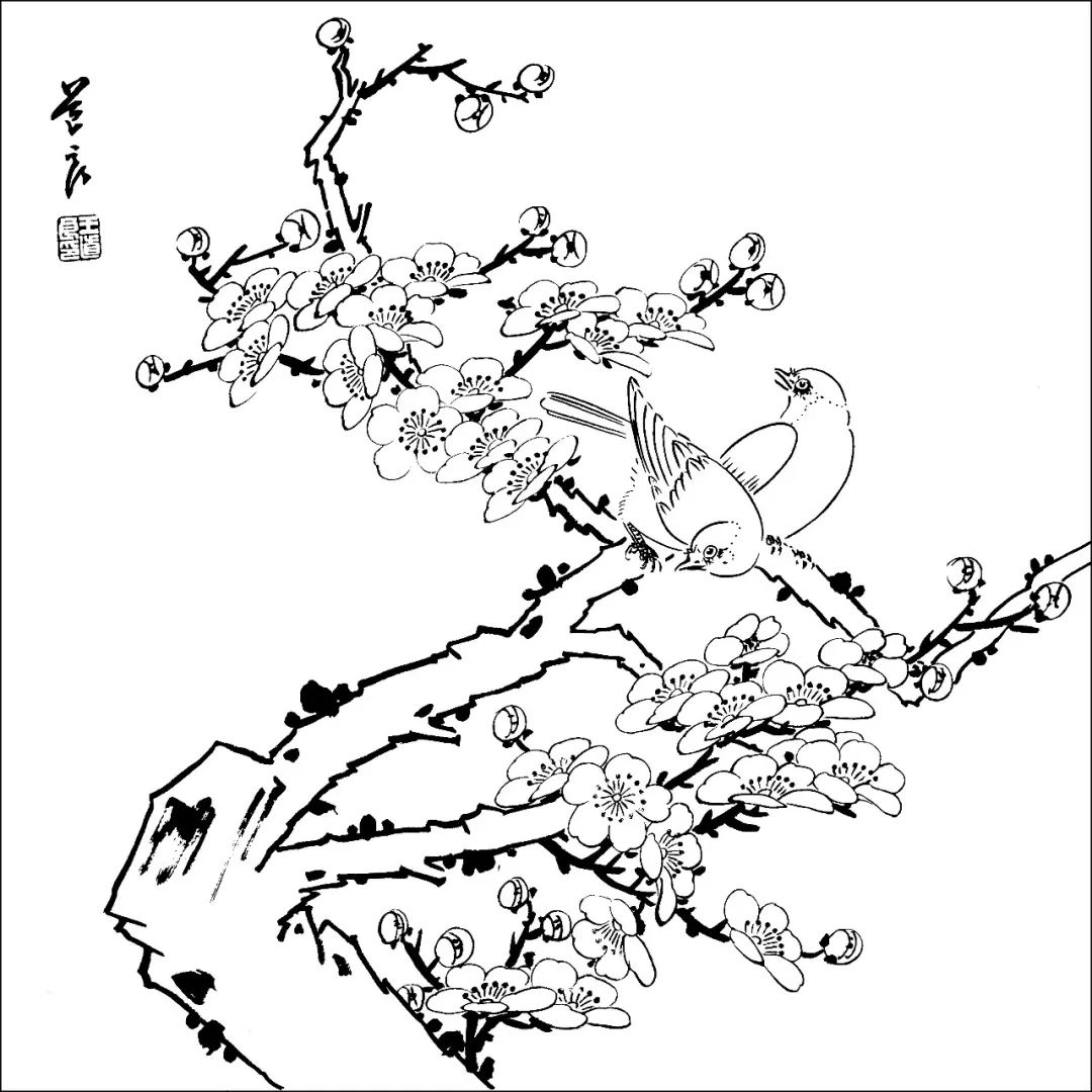 工笔花鸟白描素材