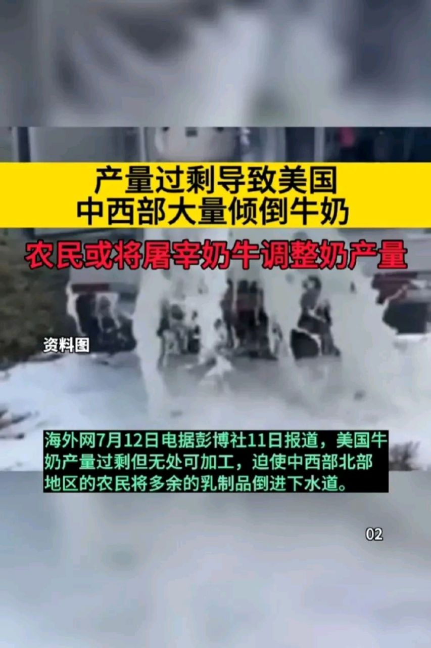 美国中西部大量倾倒牛奶,只因产量过剩……  农民或将屠宰奶牛调整