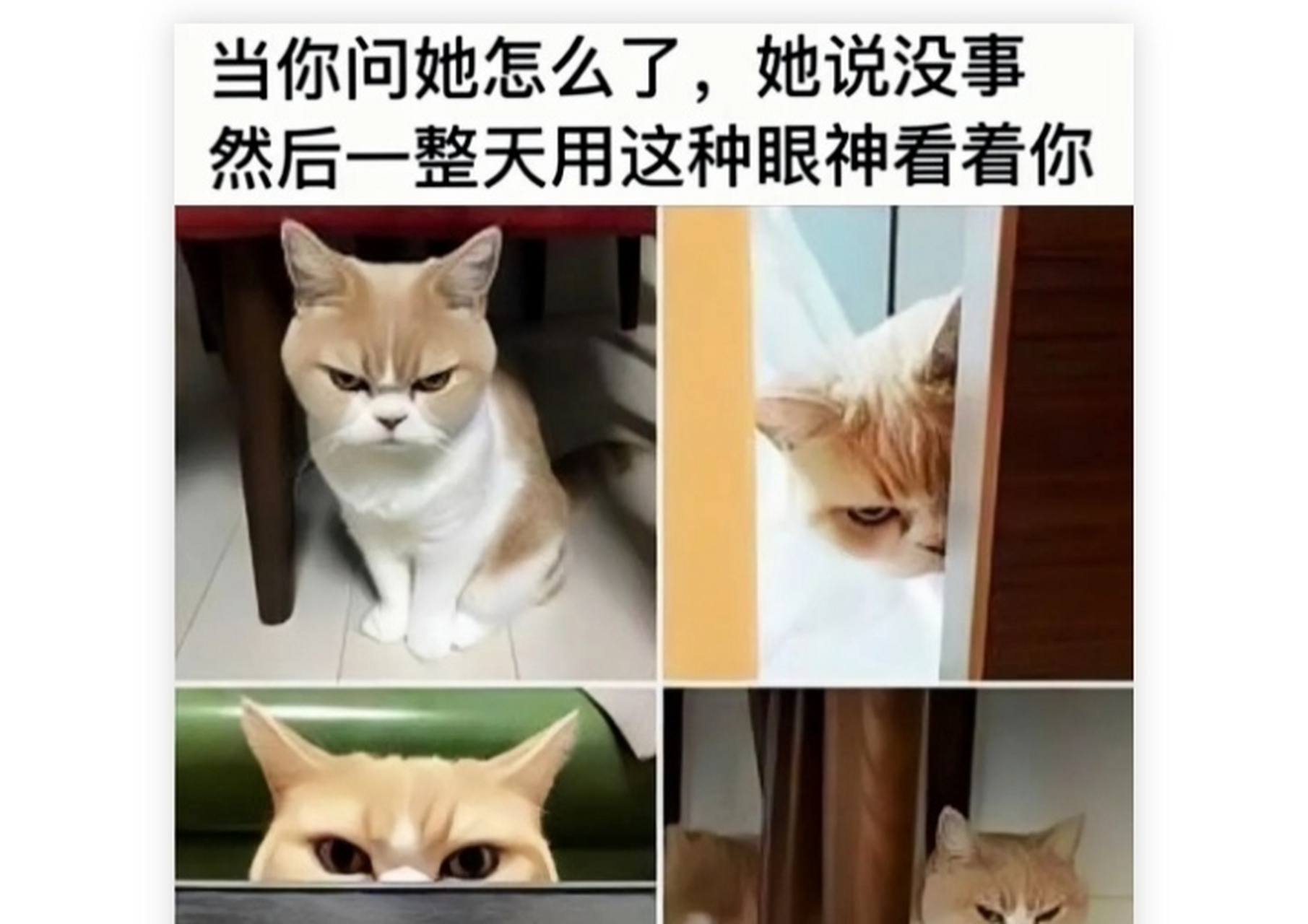 当女朋友生气的时候#幽默# #搞笑# #趣图搞笑