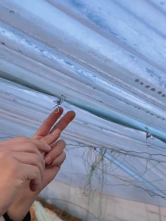 家里有大棚一定要使用这个二膜夹子,不锈钢材质轻松应对暴晒环境