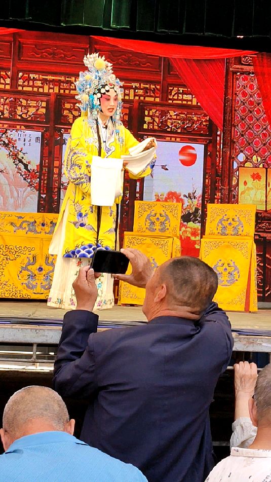 杨丽丽演唱晋剧打金枝唱段