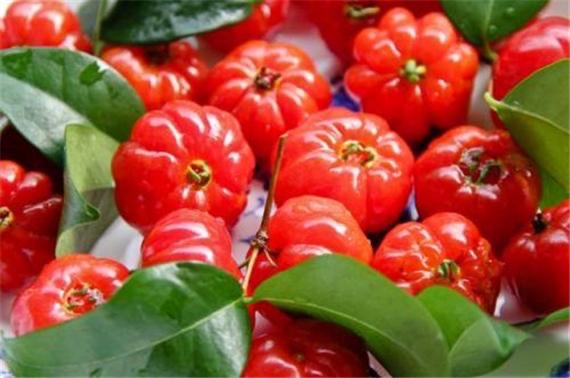 热带奇葩水果之:巴西红果